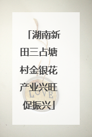 湖南新田三占塘村金银花产业兴旺促振兴